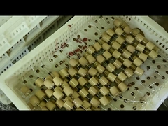 容量性絶縁体のための高圧40.5kVAC-100pF 4000Vの陶磁器のコンデンサー